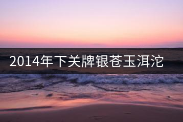 2014年下關(guān)牌銀蒼玉洱沱茶品評