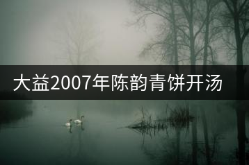 大益2007年陳韻青餅開湯品飲