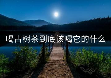 喝古樹茶到底該喝它的什么？