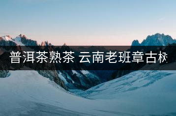 普洱茶熟茶 云南老班章古樹茶金芽特級(jí)熟茶357g大餅茶葉 久樽正品