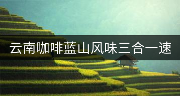 云南咖啡藍山風味三合一速溶咖啡粉袋裝 黑咖啡 提神學生40條普洱