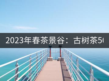 2023年春茶景谷：古樹(shù)茶500-600元／公斤，紫芽茶300-480元／公斤，白芽茶1200-2000元／公斤。