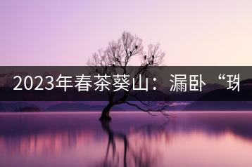 2023年春茶葵山：漏臥“珠江紅：1200元-3200元（有3個(gè)檔次）漏臥“大廠茶”：古樹單株8600-9000元／公斤，中樹4800-5200元／公斤，小樹混采2600-2800元／公斤。