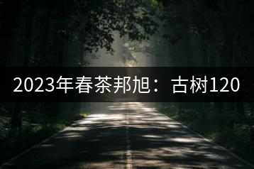 2023年春茶邦旭:古樹(shù)120-160元/公斤