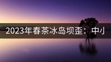 2023年春茶冰島壩歪：中小樹800元／公斤，古樹1400-1600元／公斤