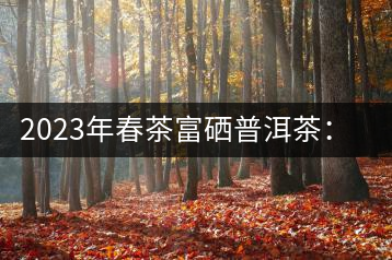 2023年春茶富硒普洱茶：1.富硒有機(jī)手工生普，市場指導(dǎo)價(jià)800元／公斤；2.富硒有機(jī)一級紅茶，市場指導(dǎo)價(jià)800元／公斤；3.富硒有機(jī)熟普餅，市場指導(dǎo)價(jià)1000元／公斤；4.富硒有機(jī)月光白茶，市場指導(dǎo)價(jià)800元／公斤。