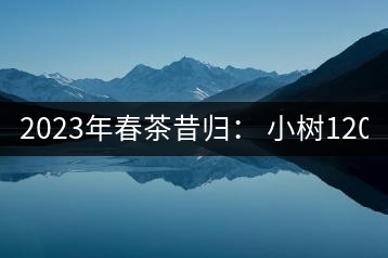 2023年春茶昔歸： 小樹1200-1600元／公斤，大樹4500-5200元／公斤，古樹7500-9000元／公斤.