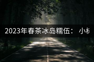 2023年春茶冰島糯伍： 小樹1300元／公斤，古樹：2100~2300元／公斤