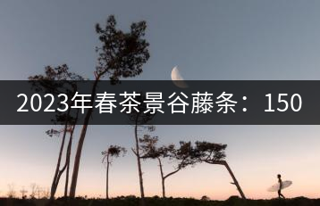 2023年春茶景谷藤條:150-350元/公斤