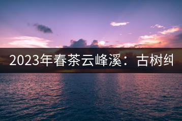 2023年春茶云峰溪：古樹(shù)純料：1200-1500元／公斤，古樹(shù)混采800-1000元／公斤，大樹(shù)500-800元／公斤，小樹(shù)300-500元／公斤