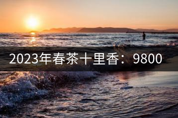 2023年春茶十里香：9800-12000元／公斤，十里香紅茶：9800-12000元／公斤