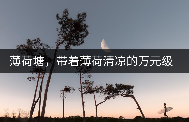 薄荷塘，帶著薄荷清涼的萬元級普洱