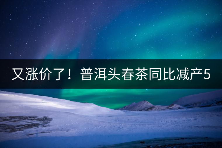 又漲價了！普洱頭春茶同比減產50%，薄荷塘一類鮮葉需當面議價
