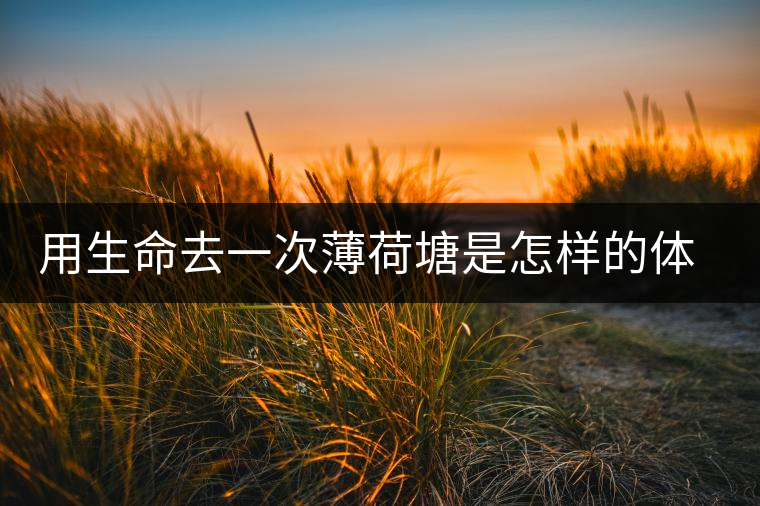 用生命去一次薄荷塘是怎樣的體驗