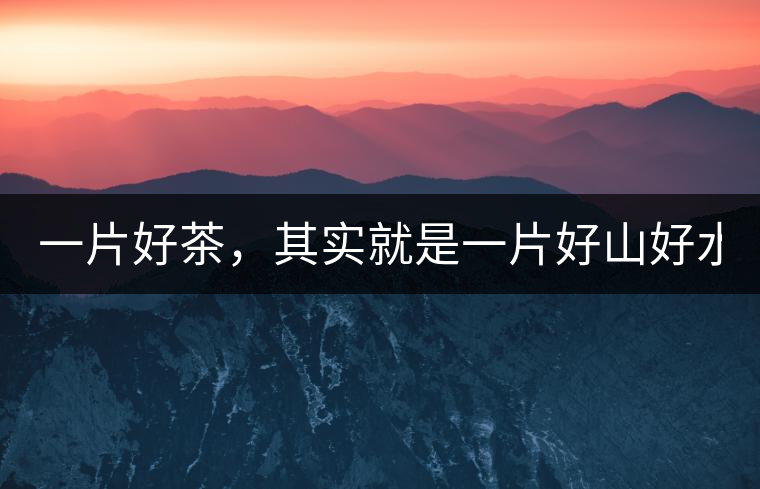 一片好茶，其實(shí)就是一片好山好水...一片好茶，其實(shí)就是一片好山好水...