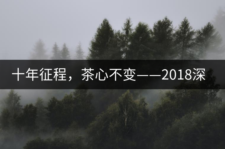 十年征程，茶心不變——2018深圳秋季茶博會12月13日隆重開幕！