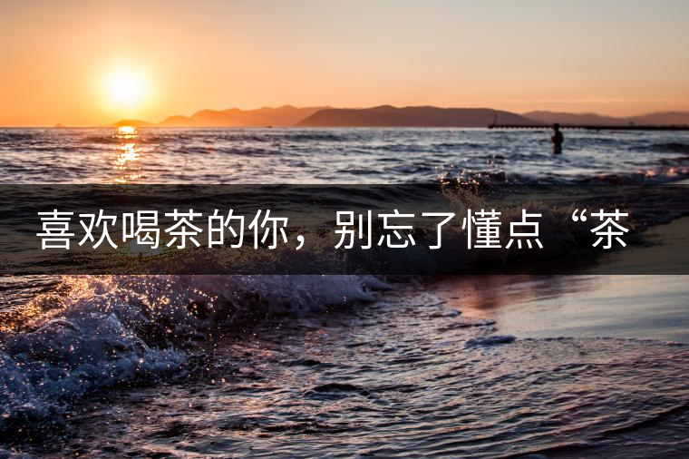 喜歡喝茶的你，別忘了懂點(diǎn)“茶歷史”喜歡喝茶的你，別忘了懂點(diǎn)“茶歷史”