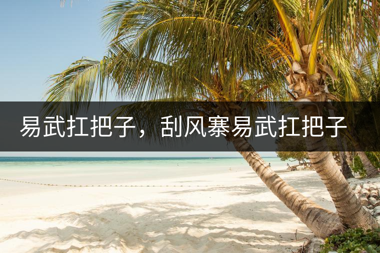 易武扛把子，刮風(fēng)寨易武扛把子，刮風(fēng)寨