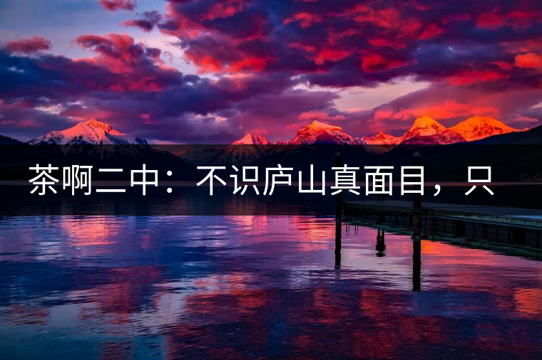 茶啊二中：不識(shí)廬山真面目，只識(shí)彎弓射大雕，賈淳真搞笑