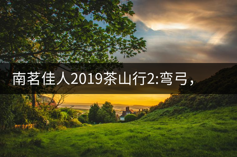 南茗佳人2019茶山行2:彎弓，一路艱辛，只為這有生命...南茗佳人2019茶山行2：彎弓，一路艱辛，只為這有生命厚度的茶！