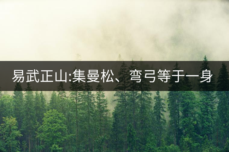 易武正山:集曼松、彎弓等于一身的貴族老黃片，好喝沒得...易武正山：集曼松、彎弓等于一身的貴族老黃片，好喝沒得說