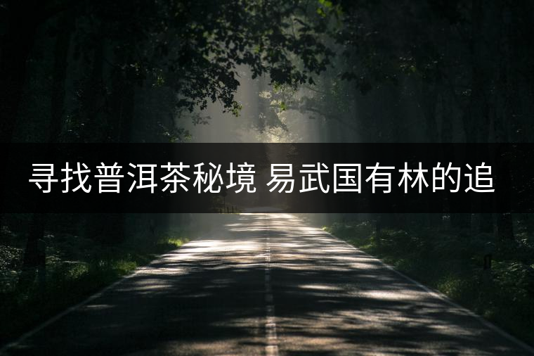 尋找普洱茶秘境 易武國(guó)有林的追逐戰(zhàn)尋找普洱茶秘境 易武國(guó)有林的追逐戰(zhàn)