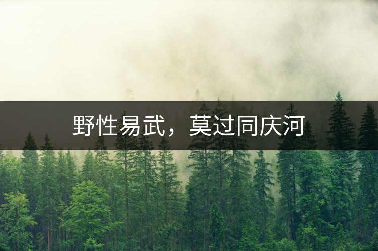 野性易武，莫過同慶河