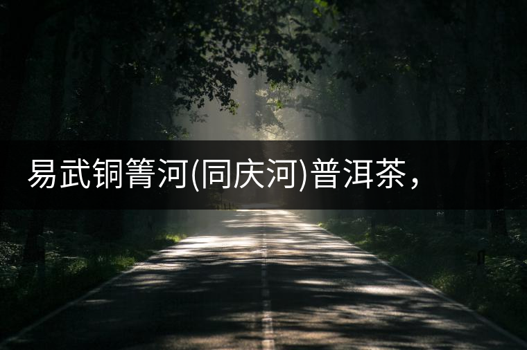 易武銅箐河(同慶河)普洱茶，讓我拜倒的不止它的口感易武銅箐河（同慶河）普洱茶，讓我拜倒的不止它的口感