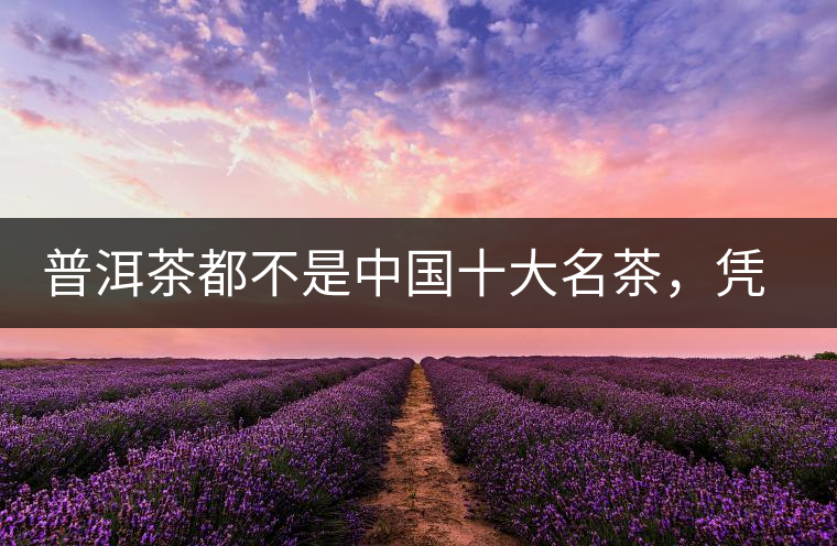普洱茶都不是中國十大名茶，憑什么還是“可以喝的古董”