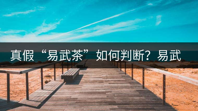真假“易武茶”如何判斷？易武普洱茶有哪些特點？