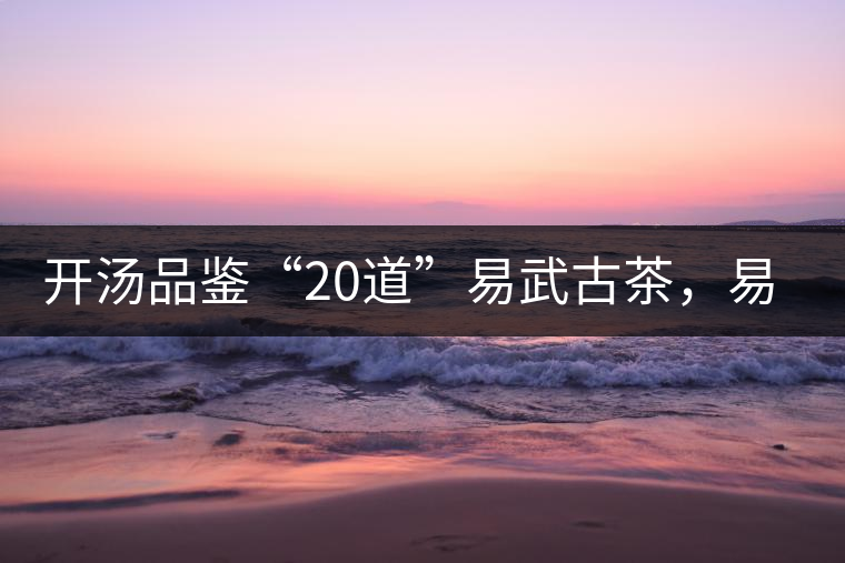 開湯品鑒“20道”易武古茶，易武茶特征你知道多少？