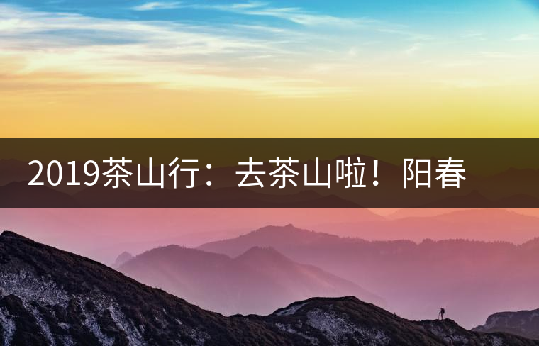 2019茶山行：去茶山啦！陽春三月，和南茗佳人一起上山喝好茶！