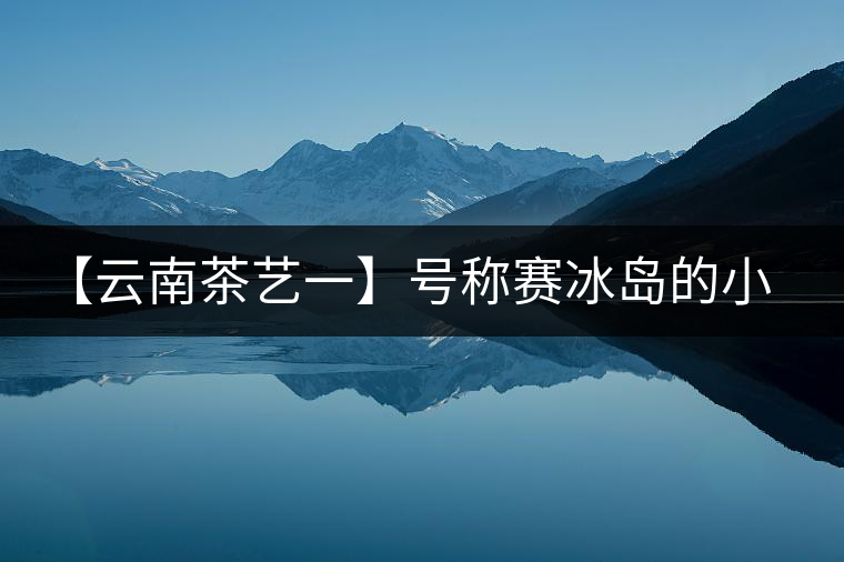 【云南茶藝一】號(hào)稱賽冰島的小戶賽憑什么！今天帶大家一起研究下