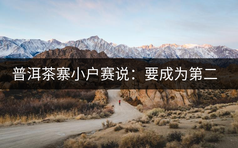 普洱茶寨小戶賽說：要成為第二個冰島，勐庫普洱茶圈都爆了！