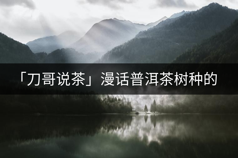 「刀哥說(shuō)茶」漫話普洱茶樹(shù)種的分類