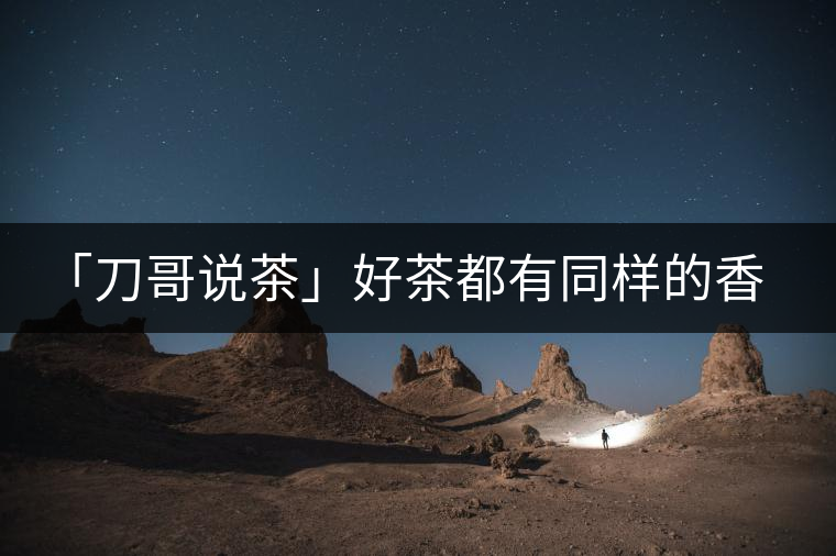 「刀哥說茶」好茶都有同樣的香，破茶卻有不同的味