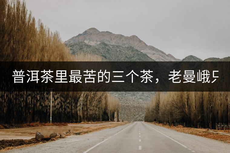 普洱茶里最苦的三個茶，老曼峨只能排第三！