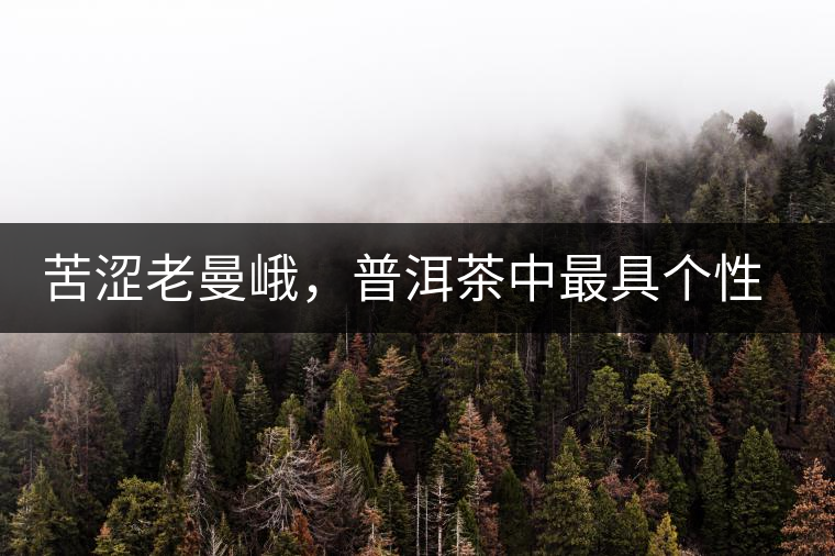 苦澀老曼峨，普洱茶中最具個(gè)性的“布朗味”苦澀老曼峨，普洱茶中最具個(gè)性的“布朗味”