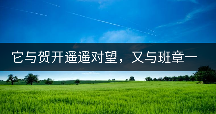 它與賀開遙遙對望，又與班章一衣帶水，它是班盆古樹春尖它與賀開遙遙對望，又與班章一衣帶水，它是班盆古樹春尖