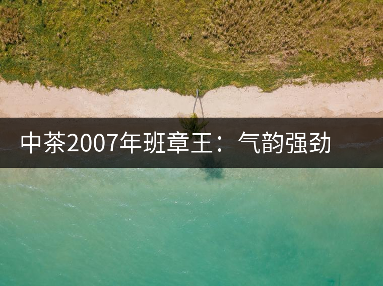 中茶2007年班章王：氣韻強勁，蜂蜜水般甜潤，一直被老茶客撿漏