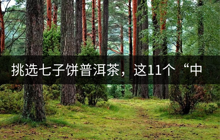 挑選七子餅普洱茶，這11個“中茶”標(biāo)志千萬別弄混!挑選七子餅普洱茶，這11個“中茶”標(biāo)志千萬別弄混！