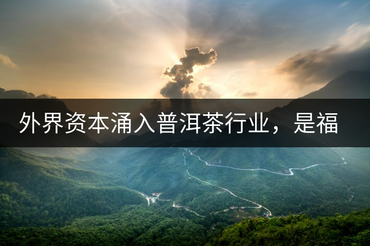 外界資本涌入普洱茶行業(yè)，是福還是禍？