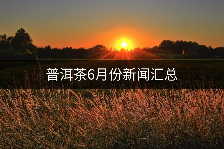 普洱茶6月份新聞匯總