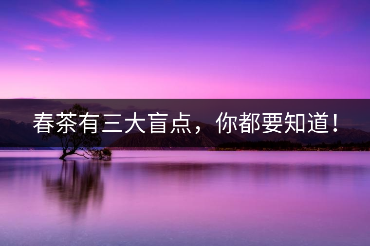 春茶有三大盲點，你都要知道！
