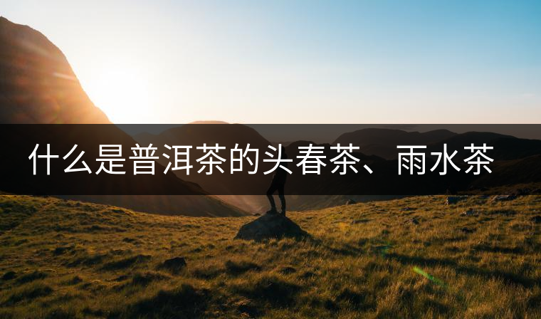 什么是普洱茶的頭春茶、雨水茶和谷花茶，怎樣區(qū)別？