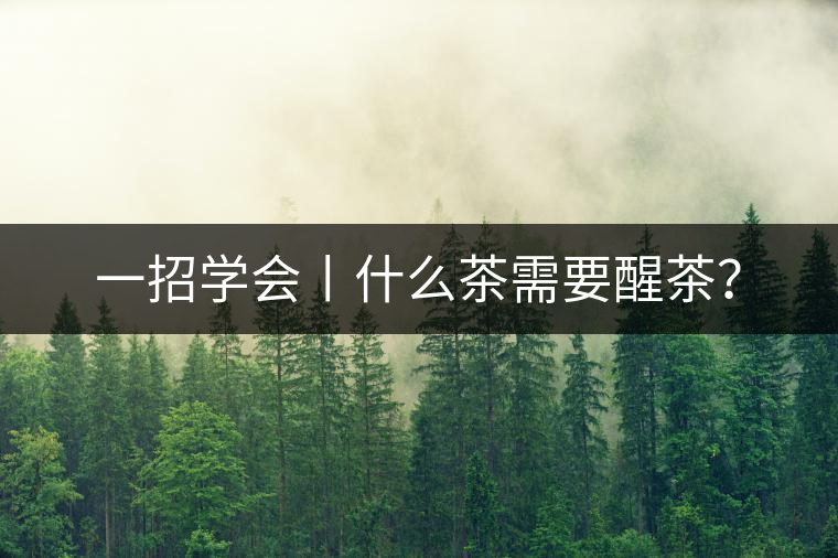 一招學(xué)會丨什么茶需要醒茶？