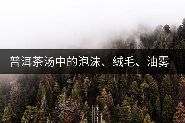 普洱茶湯中的泡沫、絨毛、油霧、絮狀物……原來是這些東西！