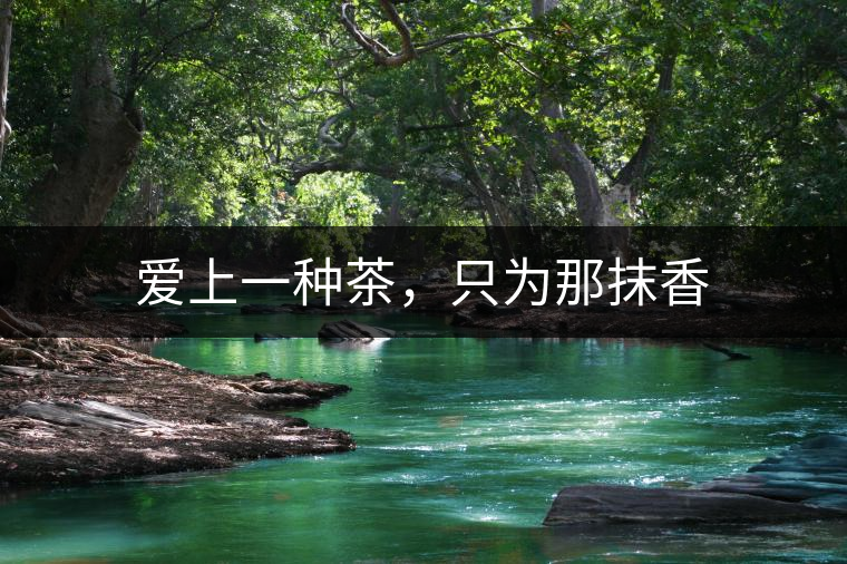 愛上一種茶，只為那抹香