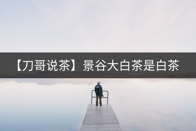 【刀哥說(shuō)茶】景谷大白茶是白茶還是普洱茶？