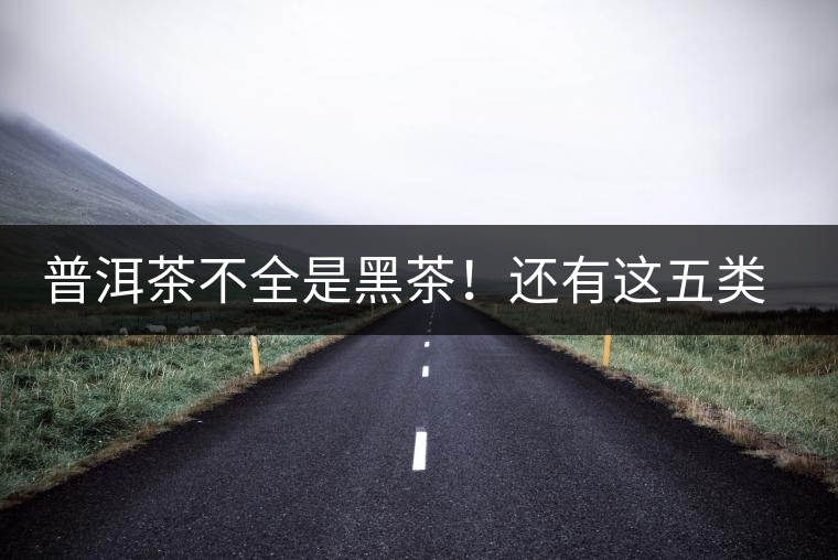 普洱茶不全是黑茶！還有這五類茶，現(xiàn)在知道還不算晚